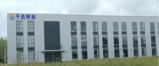 以精益為綱，筑智造基底——安徽千達襪業新廠房布局規劃