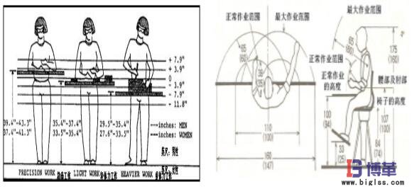 動作經濟圖解 動作經濟圖解